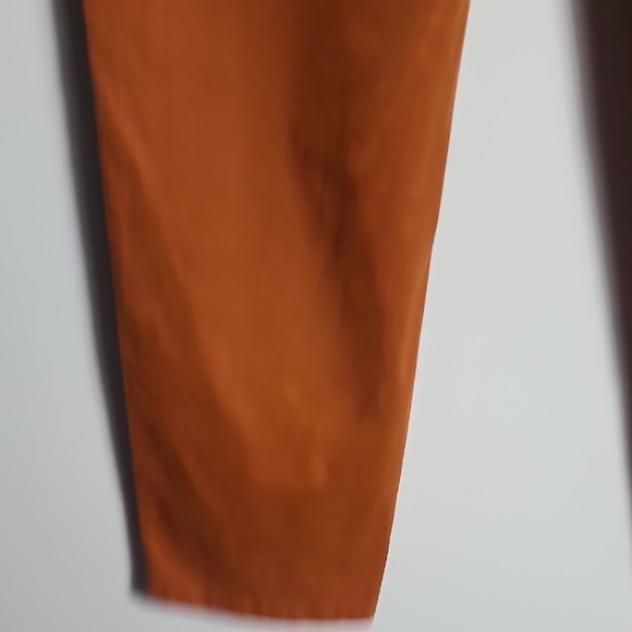 LUCKY BRAND Rust Orange Colored Pants With Blue Stripes Down Side Size 12/31 - Picture 12 of 16
